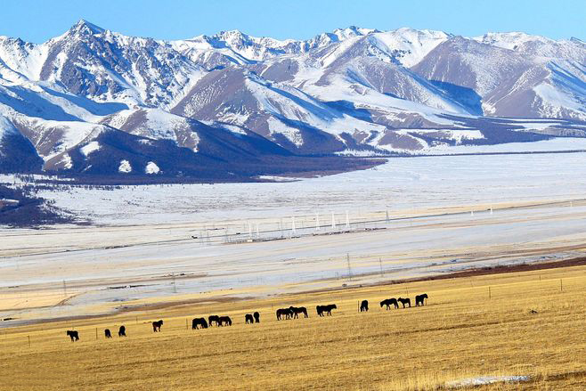 b26975431d5caf6e761f5f349e8eb1a200f5e30348b3e-CurvXx_fw658.jpg b26975431d5caf6e761f5f349e8eb1a200f5e30348b3e-CurvXx_fw658.jpg