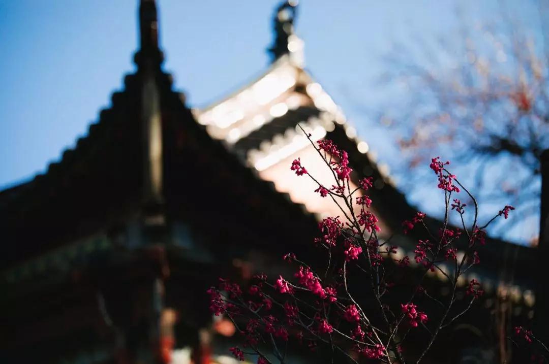 微信图片_20190927103329.jpg 微信图片_20190927103329.jpg